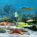 undersea wallpaper  screen for extension Chrome web store in OffiDocs Chromium