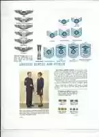Free download United States Air Force Rank Insignia Poster free photo or picture to be edited with GIMP online image editor