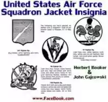 Free download United States Air Force Squadron Jacket Insignia 001 free photo or picture to be edited with GIMP online image editor