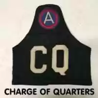 Free download United States Army Brassards free photo or picture to be edited with GIMP online image editor