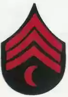 Free download United States Army Coast Artillery Corps, 1902-1940 free photo or picture to be edited with GIMP online image editor