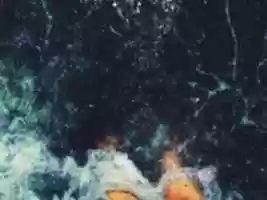 Free download Uno con el Todo. free photo or picture to be edited with GIMP online image editor