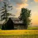 Unroofed wooden house  screen for extension Chrome web store in OffiDocs Chromium