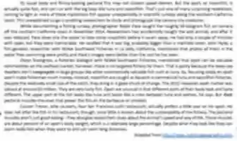 Free download Untitled 46 free photo or picture to be edited with GIMP online image editor