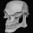 Unusual Bureau Numerique  screen for extension Chrome web store in OffiDocs Chromium