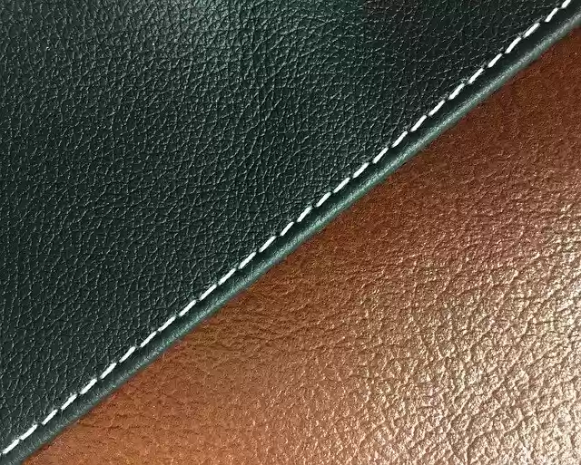 Free download Upholstery Skin Furniture -  free photo or picture to be edited with GIMP online image editor