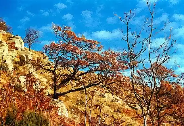 הורדה חינם של Upstream Mountain Appennino איור חינם לעריכה עם עורך התמונות המקוון GIMP