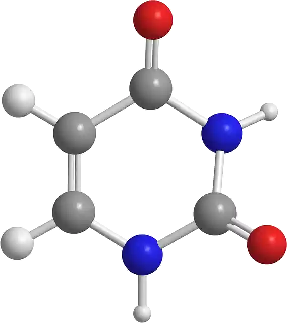 Free download Uracil Nitrogenous Bases Dna -  free illustration to be edited with GIMP free online image editor