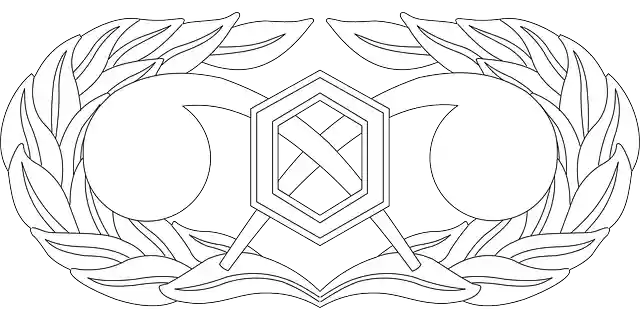Free download Usaf Air Force Badge - Free vector graphic on Pixabay free illustration to be edited with GIMP free online image editor