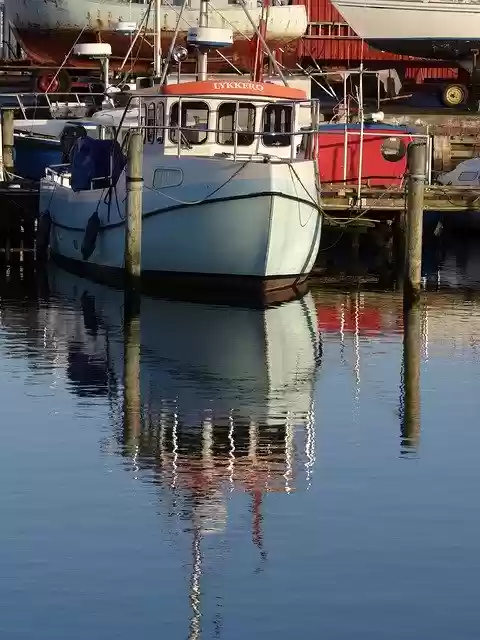 Template Photo Vandspejling Mirroring Fishing for OffiDocs