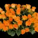 Vase of yellow rose  screen for extension Chrome web store in OffiDocs Chromium