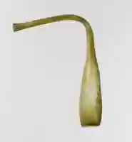 Free download Vase with elongated neck free photo or picture to be edited with GIMP online image editor