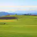 Vast green fields  screen for extension Chrome web store in OffiDocs Chromium