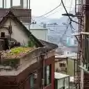 vegetable garden on the roof  screen for extension Chrome web store in OffiDocs Chromium