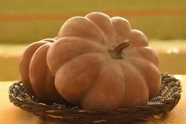 Free download vegetable pumpkins squash food free picture to be edited with GIMP free online image editor