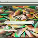 Vem  screen for extension Chrome web store in OffiDocs Chromium