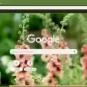 Verbascum  screen for extension Chrome web store in OffiDocs Chromium