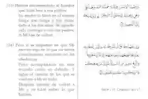 Free download Versos de Coran free photo or picture to be edited with GIMP online image editor
