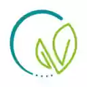 Vesatogo Bridge  screen for extension Chrome web store in OffiDocs Chromium