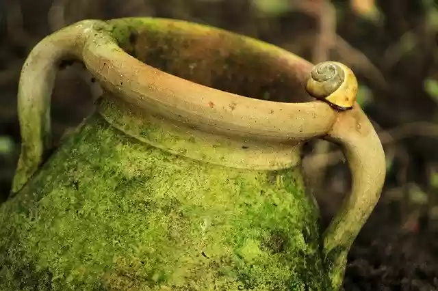 Free download Vessel Flower Pot Jug -  free photo or picture to be edited with GIMP online image editor