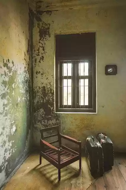 Free download Veterans Day Background House -  free free photo or picture to be edited with GIMP online image editor