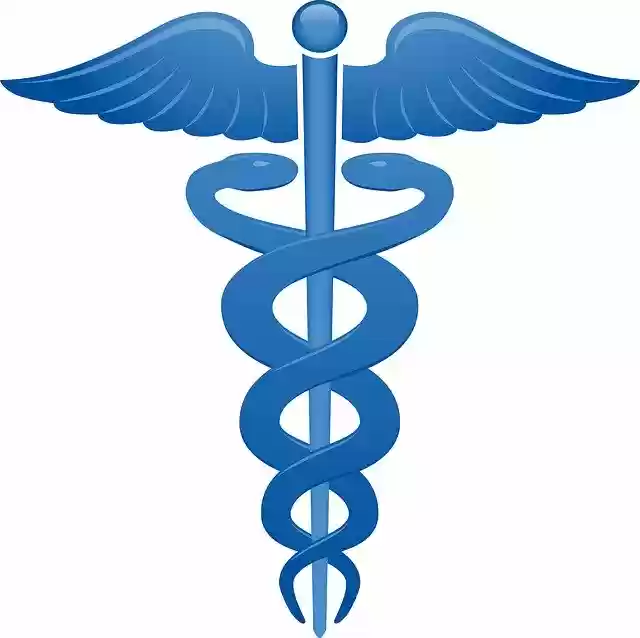 Free download Veterinarian Symbol Doctor -  free illustration to be edited with GIMP free online image editor