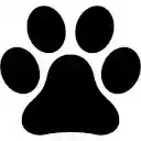 Veterinary Management  screen for extension Chrome web store in OffiDocs Chromium