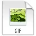 Video to GIF Animation Converter  screen for extension Chrome web store in OffiDocs Chromium