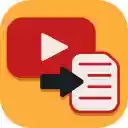 Video to Text Converter  screen for extension Chrome web store in OffiDocs Chromium