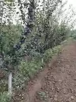 Free download Vie free photo or picture to be edited with GIMP online image editor