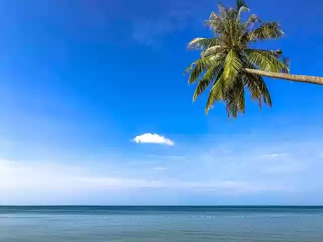 Free download Vietnam Palma Travel free photo template to be edited with GIMP online image editor