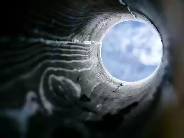 Free download View Wood Nature -  free photo or picture to be edited with GIMP online image editor