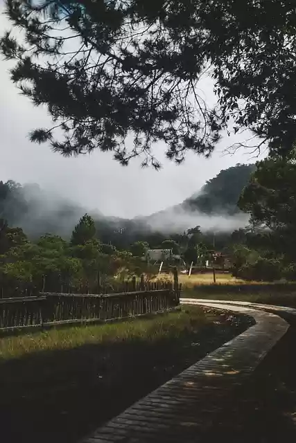 Free download village nature fog road wilderness free picture to be edited with GIMP free online image editor