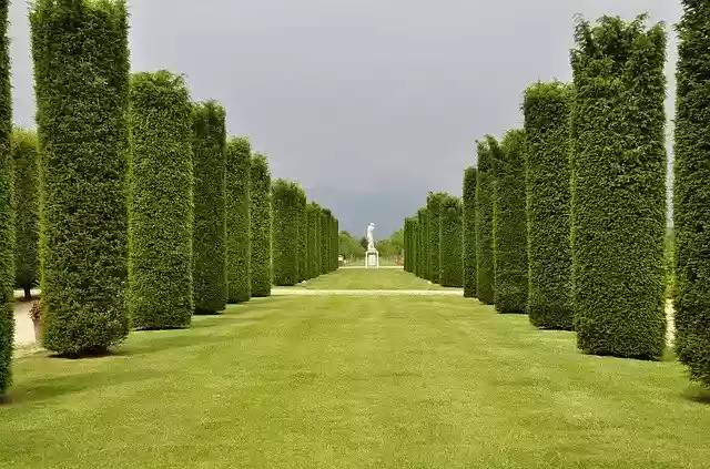 Free download Villa Park Venaria Reale -  free photo or picture to be edited with GIMP online image editor