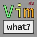 Vim what?  screen for extension Chrome web store in OffiDocs Chromium
