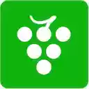 VineDictatorApp  screen for extension Chrome web store in OffiDocs Chromium