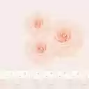 Vintage Princess Lace  screen for extension Chrome web store in OffiDocs Chromium