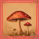 Vintage Shroom Theme  screen for extension Chrome web store in OffiDocs Chromium