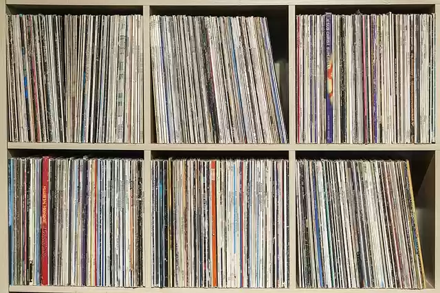 Free download vinyl records shelf vinyl music free picture to be edited with GIMP free online image editor