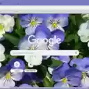 Viola  screen for extension Chrome web store in OffiDocs Chromium