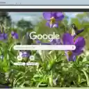 Viola Tricolor  screen for extension Chrome web store in OffiDocs Chromium