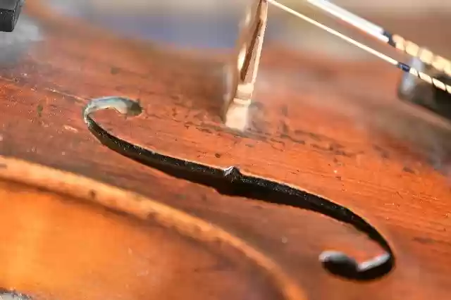 Free download violin f hole strings web wood free picture to be edited with GIMP free online image editor