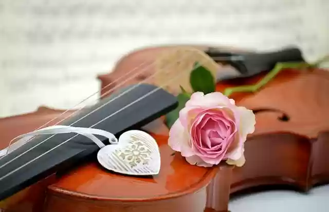 Free download violin heart rose free picture to be edited with GIMP free online image editor