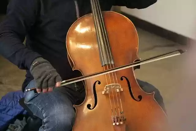 Free download Violin Musician Music -  free photo or picture to be edited with GIMP online image editor