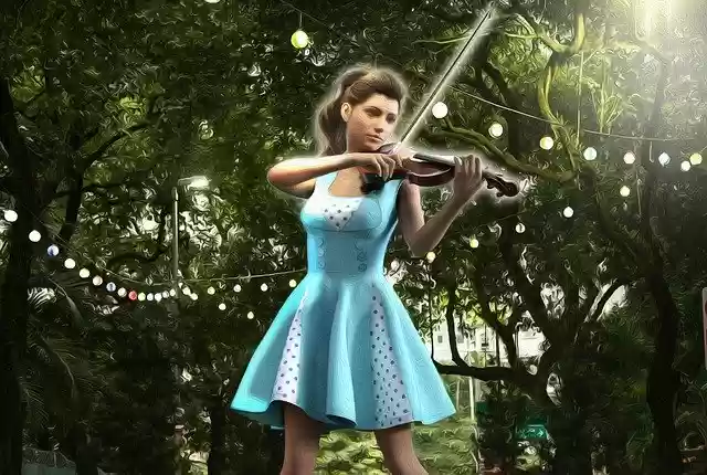 Free download Violin Presentation Concert -  free illustration to be edited with GIMP online image editor