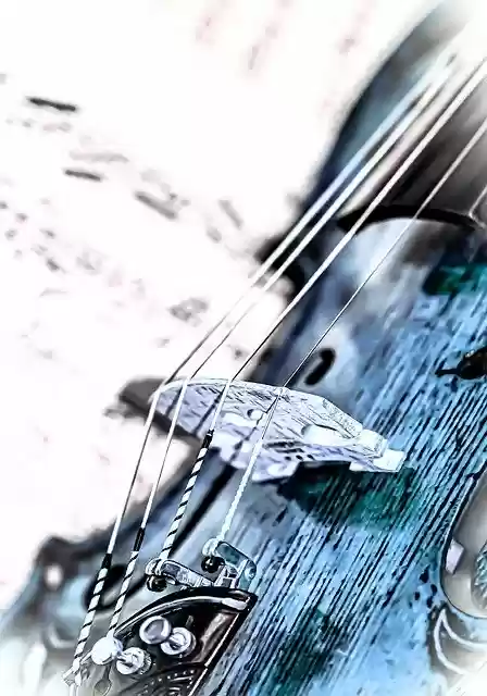 Free download violin strings musical instrument free picture to be edited with GIMP free online image editor