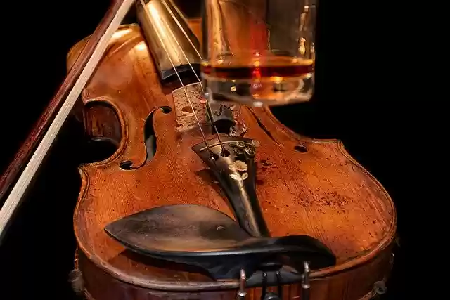 Free download violin whisky brown whiskey free picture to be edited with GIMP free online image editor