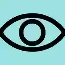 Visionary Reader  screen for extension Chrome web store in OffiDocs Chromium