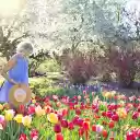 Visit spring garden  screen for extension Chrome web store in OffiDocs Chromium