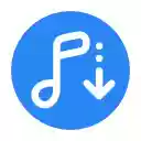 VK Music audio saver  screen for extension Chrome web store in OffiDocs Chromium